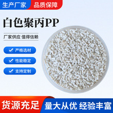 PP������ע�����z���۱�ϩ�w�������茣���ϸ��g�Ը����Ӱ�ɫ�۱�