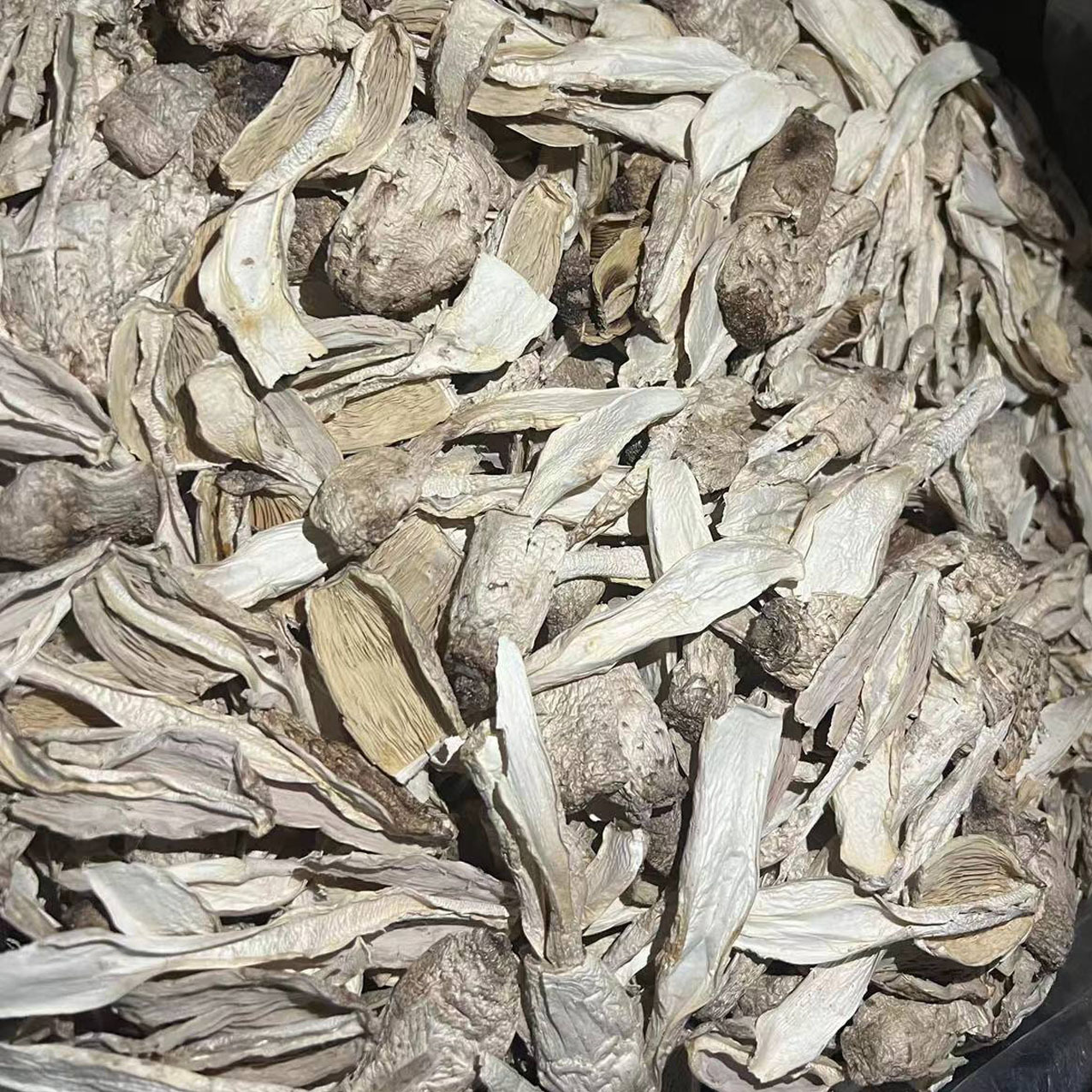 f8a34f07883724cef7fc9aaaaa5a75