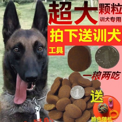 grain Dog food Dog training Dedicated 2.5kg Reward Horse Dog 1 Independent Amazon On behalf of Manufactor