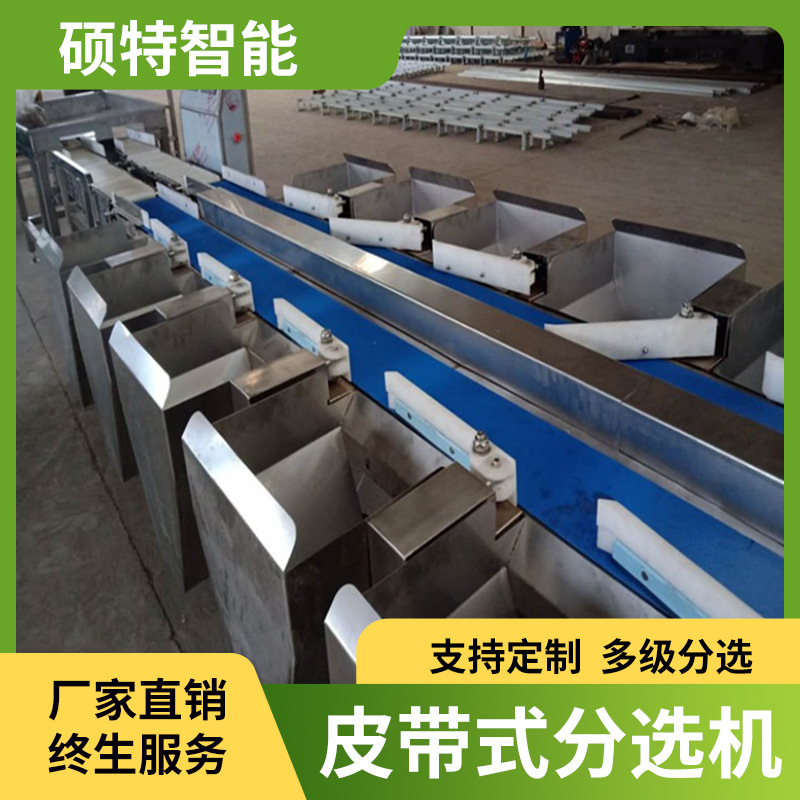 鱼块皮带重量分选机 鲈鱼拨杆式称重分级机 双通道自动分拣机