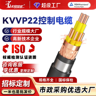 �ӹ�����KVVP22䓎��z�b������|��������2 3 4 5 6о1 1.5 2.5ƽ