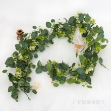�������Gֲ�ȼ����ٗl�Ҿ��b����ٗl����~�����Gɫֲ��