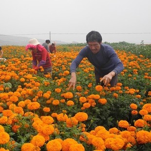 �f�۾շN�ӻ�ɫ���f�۾��ͺ��ļ����N��ȸ�ݷN��ͥԺ�����׷N��