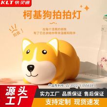 »늳عzğ TYPE-Cͯ˯LEDՇБСҹ