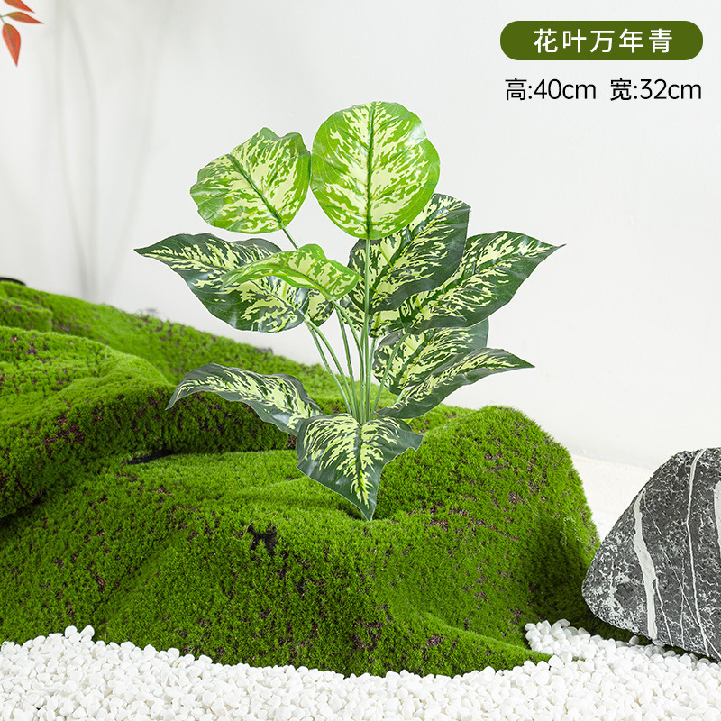 Simulación de plantación y paisajismo verde, materiales de distribución pequeños de todo uso, materiales auxiliares, arreglos florales, helechos, césped falso, decoración de plantas pequeñas, decoración de paisaje image 23