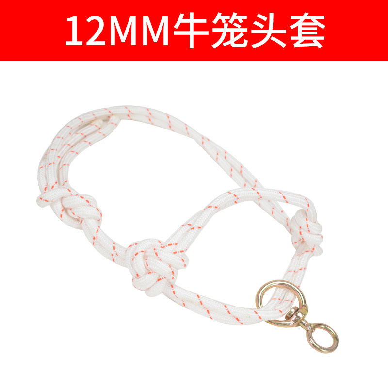 Cabeza de jaula de buey, cuello de buey, cuello de buey