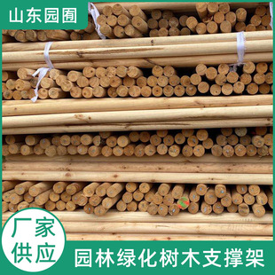 �@ˇ������_���ױ� �L����֧��ľ�� ���֧����Ͳ����ľ�U��