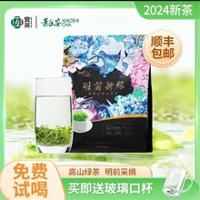 萧氏茶2024新茶明前新绿250g袋装高山绿茶云雾茶宜昌茶