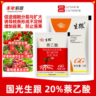 ��������20%������������ֲ�ﻨ�ܶ����ľǤ�����l������������
