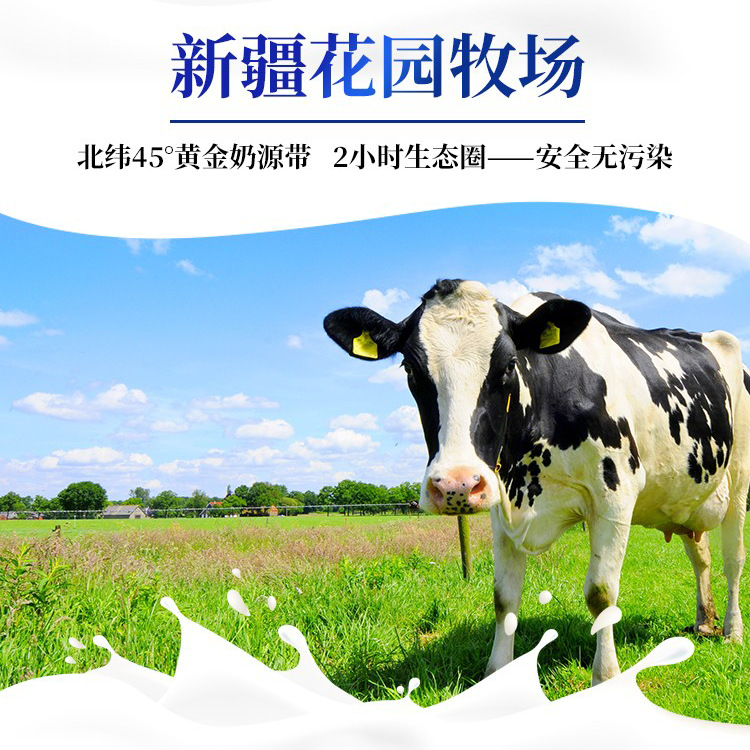 【Gardener's Agent】Xinjiang Breakfast Milk Garden Golden Pasture Pure Fresh Milk 200g*20 Boxes Full Carton Wholesale