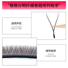 yelix跨境歐美假睫毛自然濃密y型三葉草6D開花密排yy睫毛嫁接睫毛