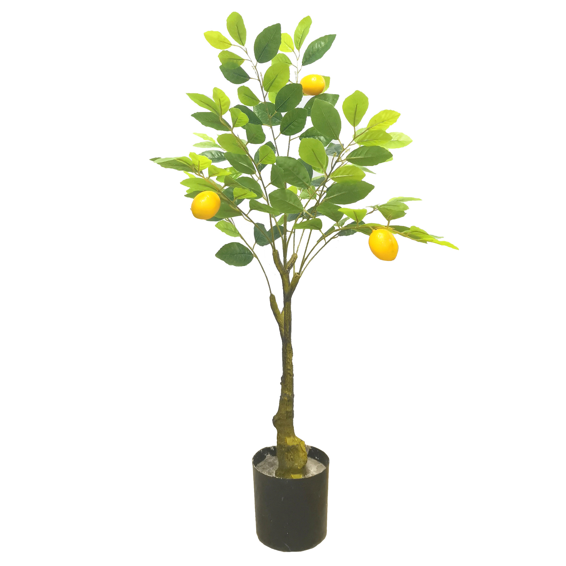 Simulación de limonero en maceta lemonTree Bonsai interior plástico pequeño árbol frutal planta verde Simulación de limonero