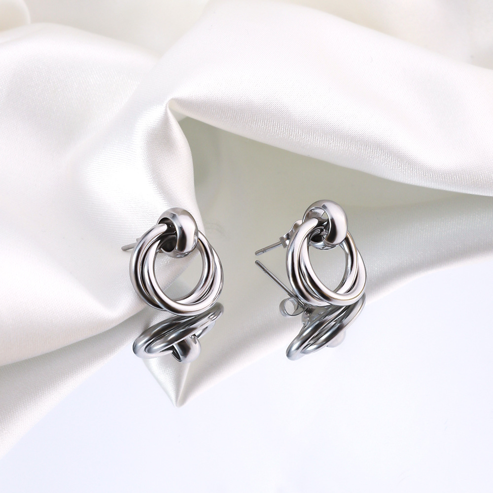 1 Pair Simple Style Commute Geometric Heart Shape Plating Titanium Steel Drop Earrings Earrings Ear Studs display picture 23