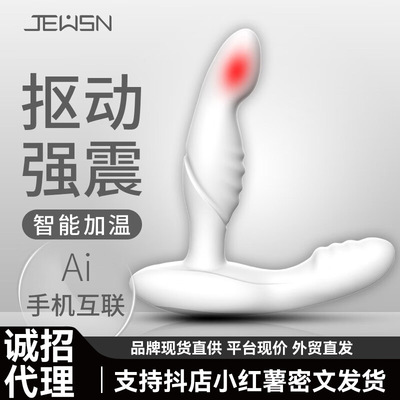 jeusn Hisaoki Duron Backyard Electric Prostate Massager wireless Anal tamponade Wearable Masturbation device