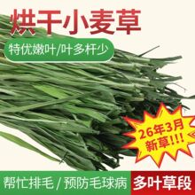 26年烘干小麦草兔子干草龙猫荷兰猪豚鼠幼兔草兔粮小麦草提摩西草