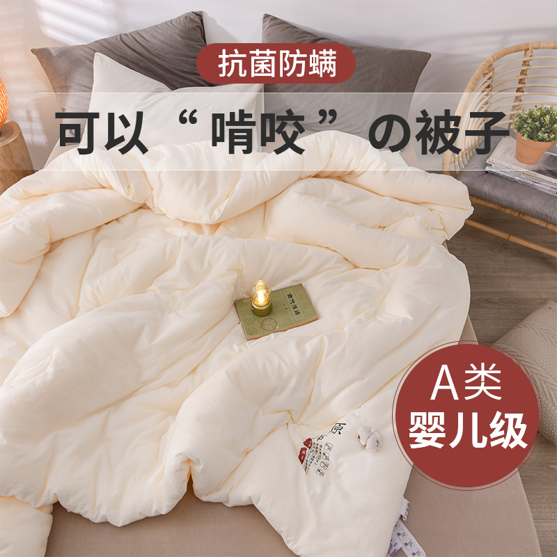 Class a Infant Autumn and Winter Pure Cotton Soy Fiber Quilt Core Hotel B&B Spring & Fall Quilt Warm Thickeneded Winter Quilt