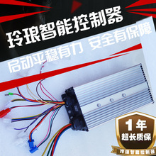 늄���݆܇������48v60v72V����18��24����݆܇������ܛӲ���Ӹ�