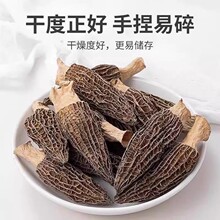 超长野生羊肚菌新鲜头茬干货羊肚菌煲汤食材正宗农家特产滋补养生