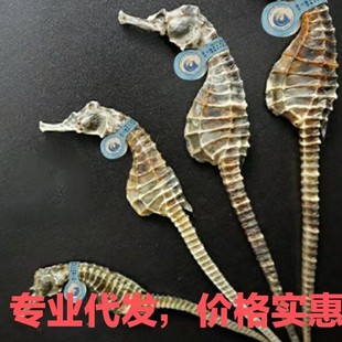 ���R��؛���l���Ҝ��ϰ�С���R���l���I���l���r�񌍻�