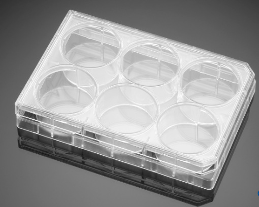 6孔透明细胞培养板 康宁 货号351146