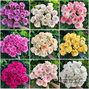 .�r�����]���ֱ�l���տ���ˮ�ٺ�õ�����r�����滨����ֱ���Y