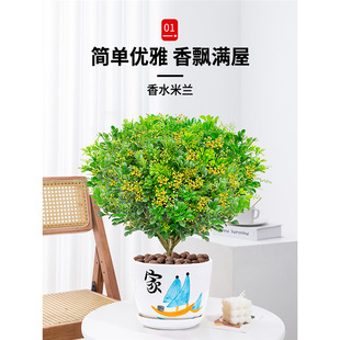 ��ˮ���m���������҃���þGֲ������ļ��_����͏d�̨���B����