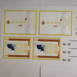 Customized Various Tea Skates Uv Transfer Stickers Cold Transfer Stickers Mask Logo Transfer Stickers