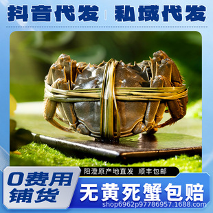 �K�ݾ�Ʒ���lзꖳ�Դ�a��ֱ�l�\��ȫ������20������I�ۺ�o�n