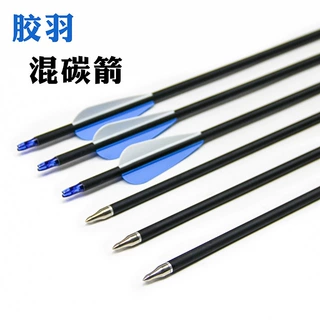 混碳箭箭支靶场游乐场射箭箭支射箭器材各种弓箭可换头箭胶羽