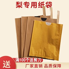 套梨的纸袋 秋月梨袋套梨袋梨子套袋梨套袋 苹果套袋