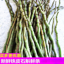 新鲜铁皮石斛鲜条500g一斤食用滋补仿野外种植云南霍山枫斗统货花