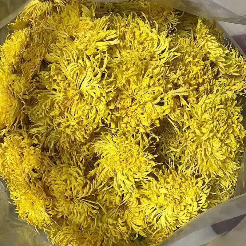 Golden Silk Chrysanthemum Tea Jin Si Huang Ju Large Blooms Loose Herbal Flowers 1000g quality and texture