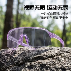 太阳镜;框架眼镜;护目镜
