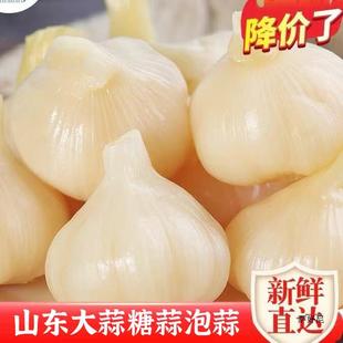 ɽ�|�Ǵ��������^�����^�������r�����u����������̲˽�ᘹ�