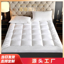 ���žƵ괲�|���o�|���l��z�q���w�Ӻ�������챻�����e�^���m�|