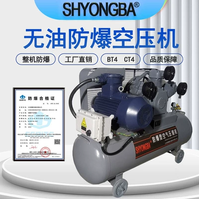 air pump EXYB-0.75A explosion-proof – Hava kompressorları