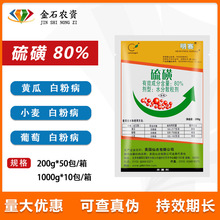 �������r ��ِ 80%��� �S�����ѹ��� �׷۲��rș������