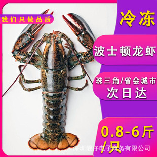 ���r�����ʿ�D���r�������������r�ك����r���rˮ�aʳ�Ĺ���