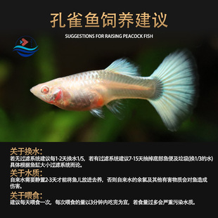 6BVQ�Ꭷ�^�p�~���wС�Ϳ�ȸ��ˮ�~�猚ɏ�����R�����t�G���~��