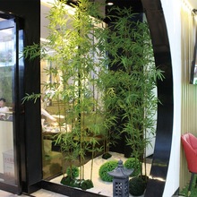 ���������҃����b������L�̨ͥԺ�Ƶ��쾰�Gֲ�ﾰ�^���b���