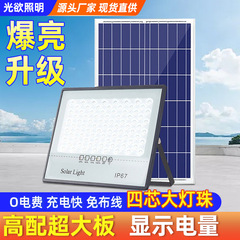 跨境爆款满天星款投光灯太阳能户外灯遥控感应庭院灯农村高亮壁灯