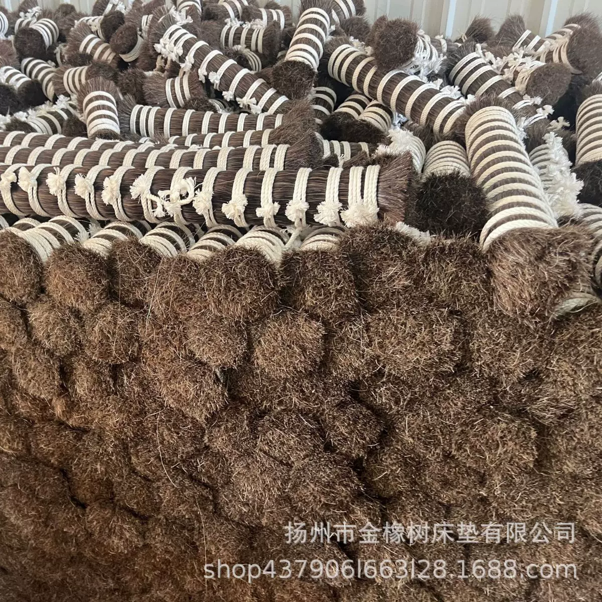 马尾毛马鬃动物毛棕白黑