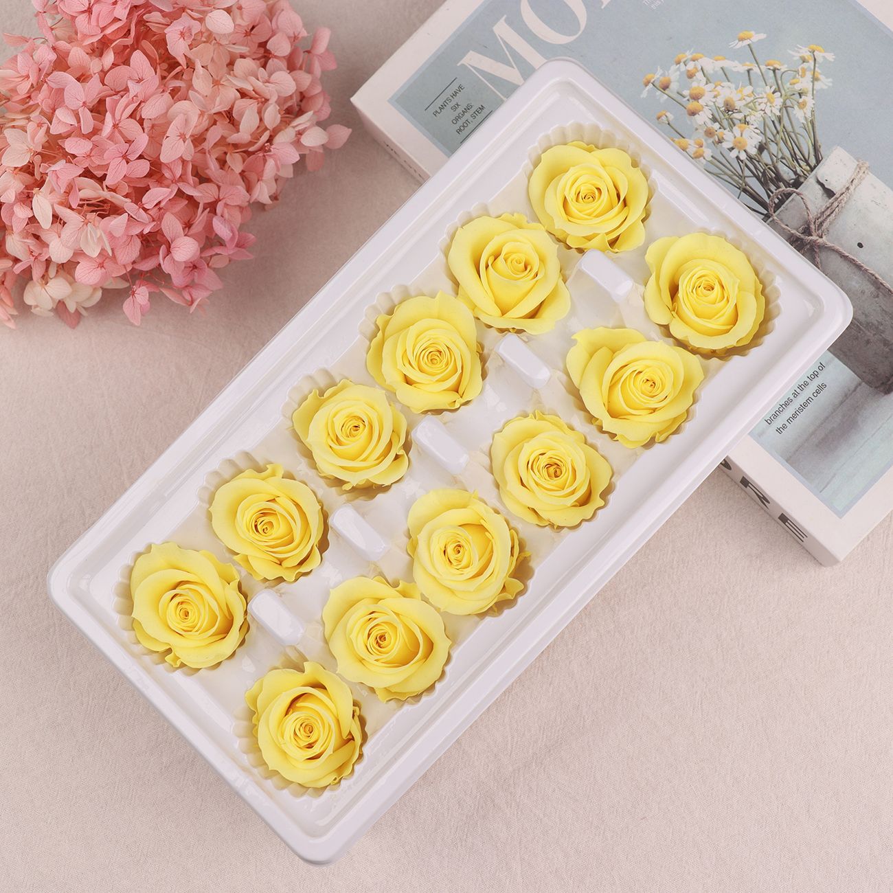 Cabezas de Rosa Eternas A+, 3-4 cm, 12 Piezas, Materiales para Manualidades Florales, Caja de Regalo, Fabricante, Venta al por Mayor