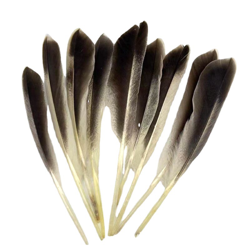 优质天然灰鸭羽毛 10-15cm灰鸭平头刀毛灰鸭驼背鹅驼背鸭毛