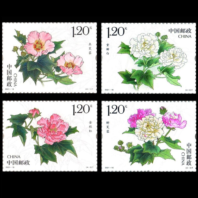 Mailable stamp 2021-18 Hibiscus. For sending letters and postcards. Collectible stamp collection. Authentic item