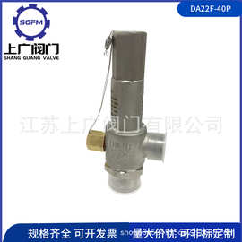 DA22F-40P低温安全阀 不锈钢低温安全阀 -196 LNG CNG低温安全阀
