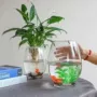 客厅植物水培简约插花瓶