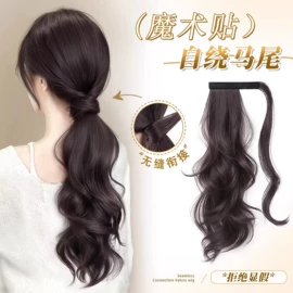 假发马尾;假发长卷发;发包/丸子假发