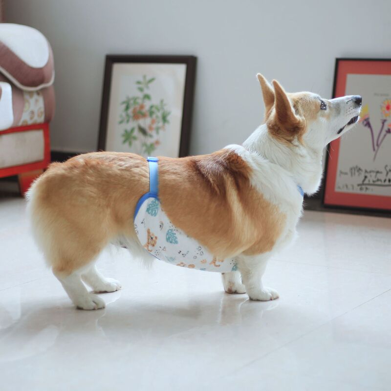 Dog Bellyband Pet Cotton Bellyband Belly Protection Warm Breathable Comfortable Koji Teddy Golden Hair Cartoon Cute