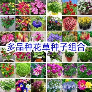 �N�ӽM��ֲ���҃�ͥԺ�׻˹���P�ɻ���ɫ���N�ѻ���
